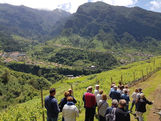 Tour privato in 4x4 e degustazione di vini a Madeira