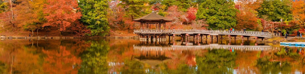 Qué hacer en Nara: actividades y visitas guiadas
