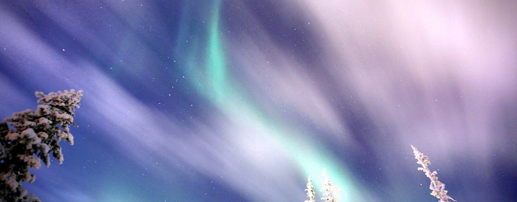 Aurora hunt by reindeer from Saariselkä