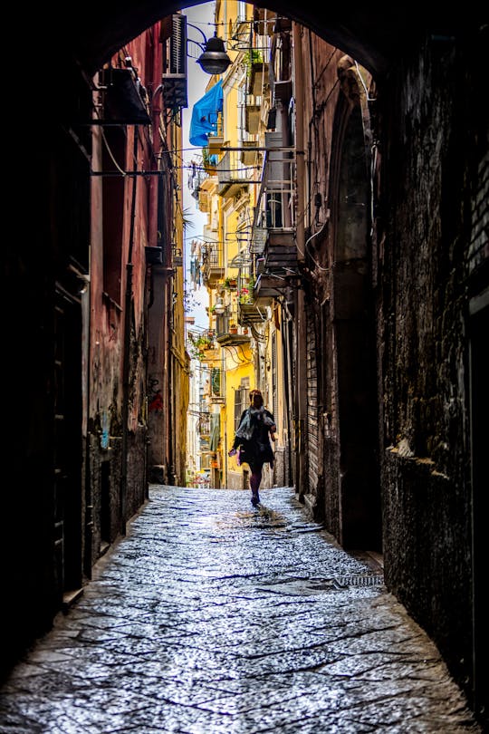 Tour selezionato di Napoli