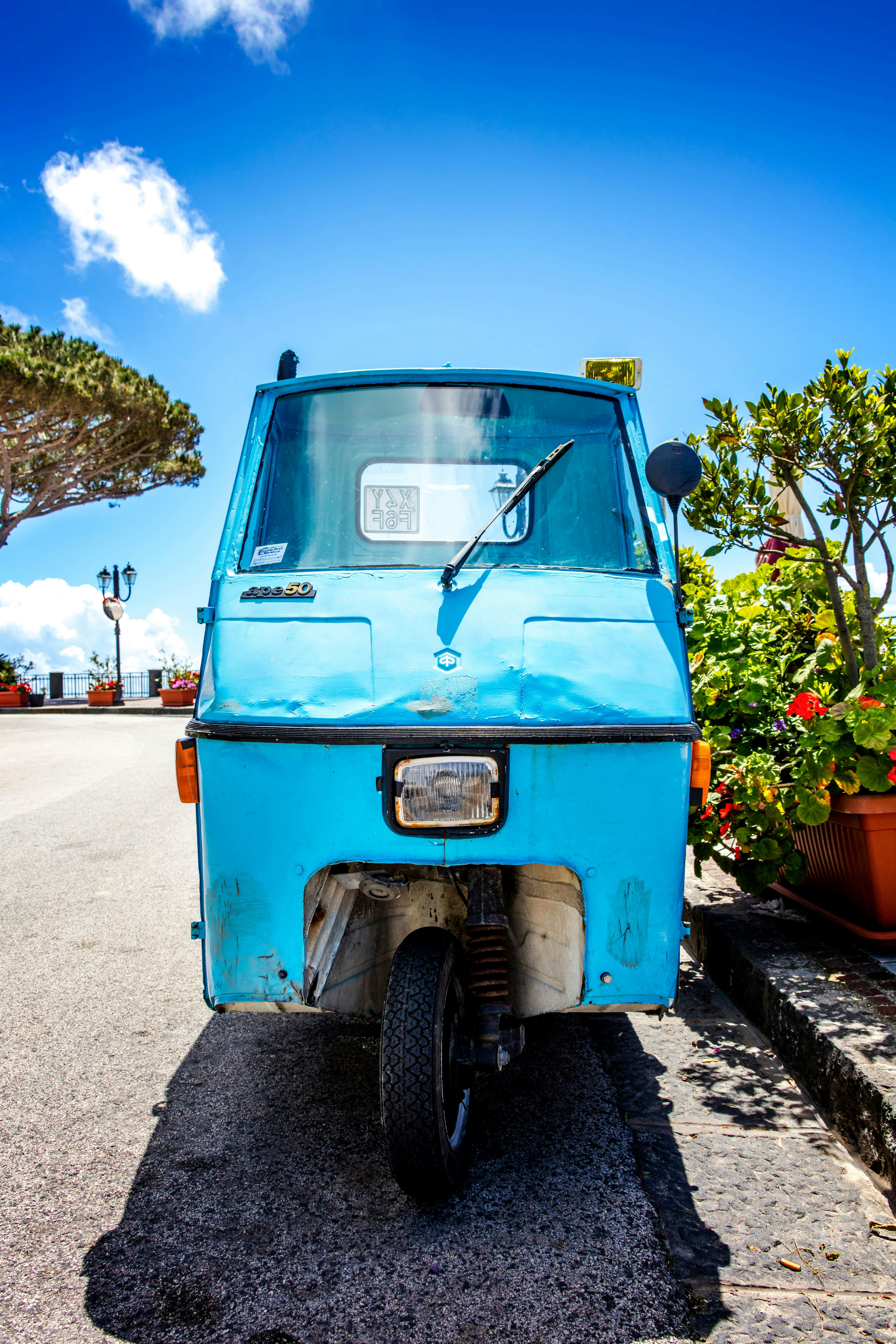 Ischia Island Tour