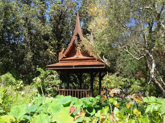 La Mortella Gardens with Music Concert