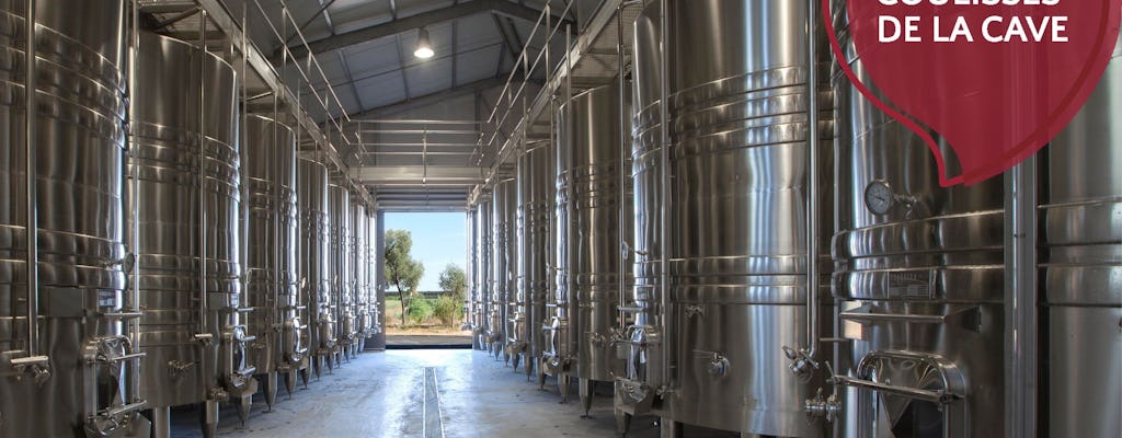 Visita guidata del vigneto Flaugergues