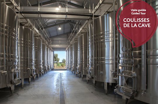 Guided tour of the Flaugergues vineyard