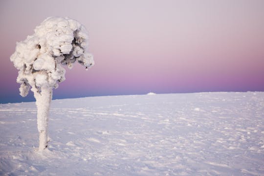 Kulig na skuterach śnieżnych po fińskiej Laponii