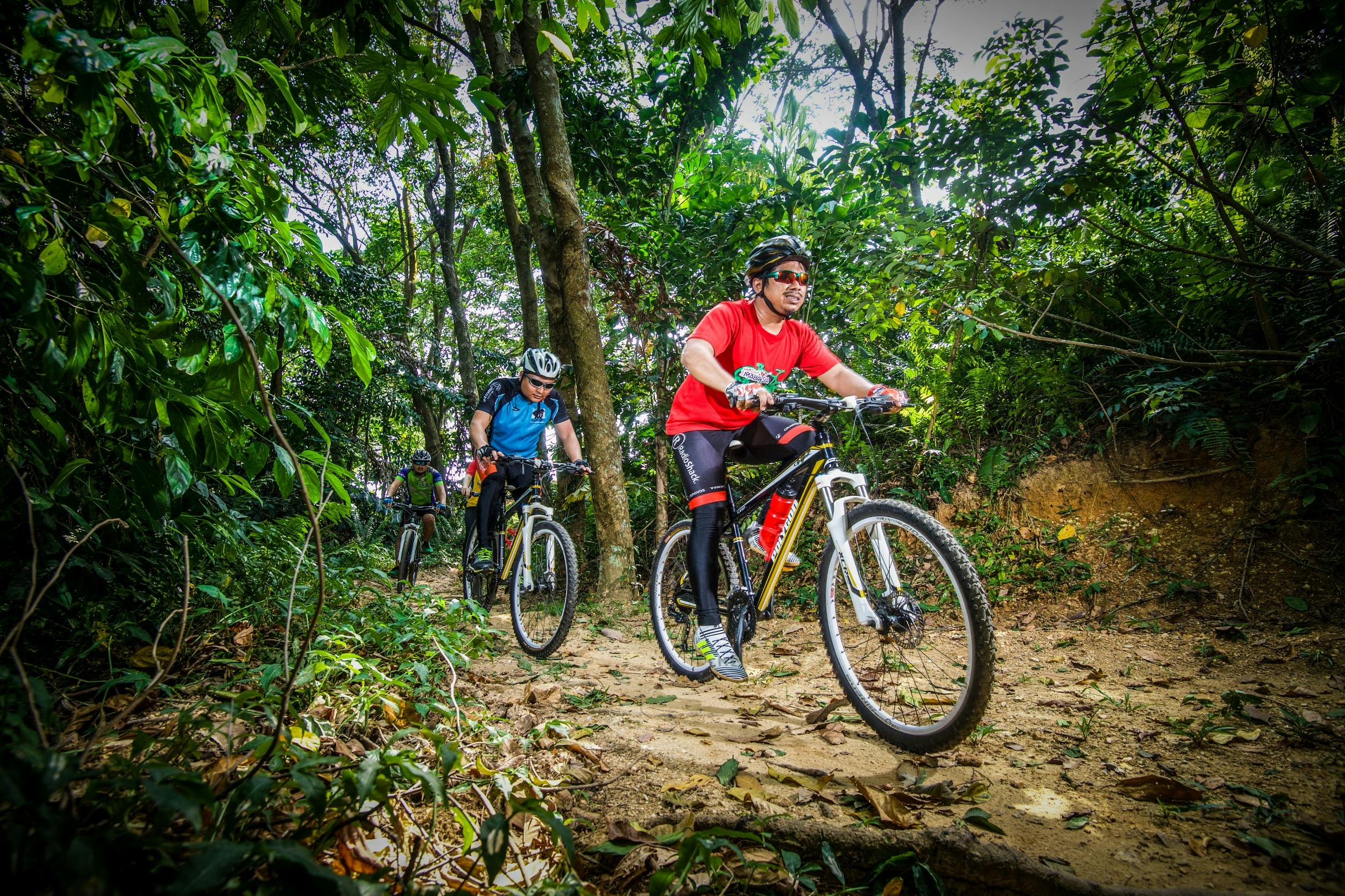 Private half-day National Botanical Garden bike tour