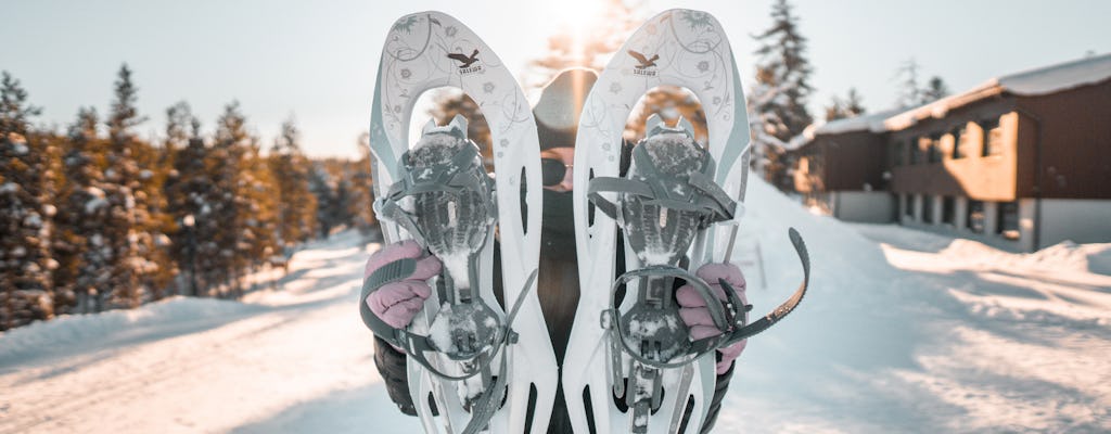 Faça caminhadas com raquetes de neve na Lapônia finlandesa