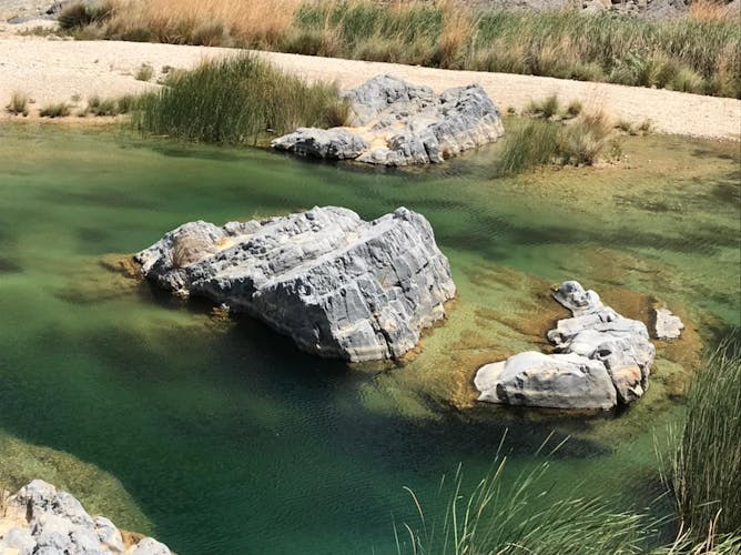 Full day sightseeing tour to Wadi Arbayeen with local lunch at the Wadi