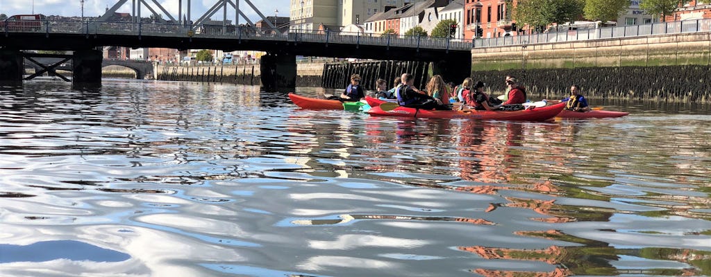 Cork City guided kayaking experience