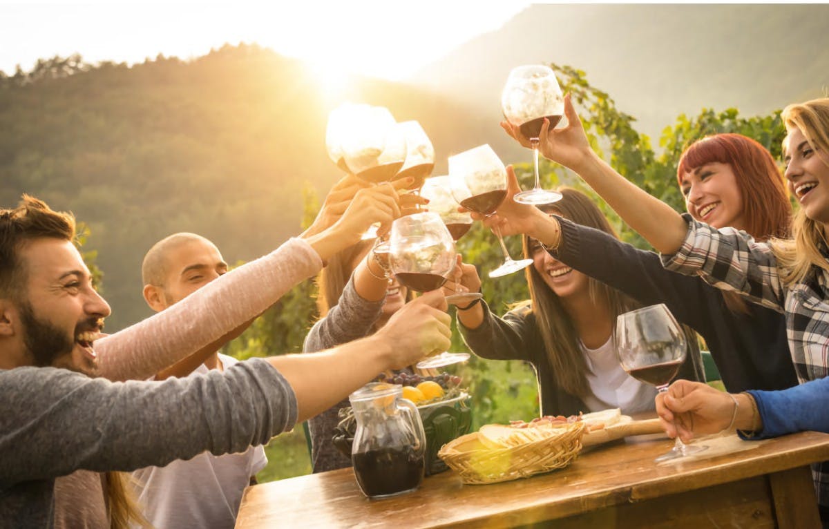 Chianti-Weinprobe in kleinen Gruppen und Abendessen im Weinberg