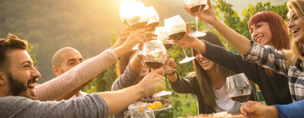 Chianti-Weinprobe in kleinen Gruppen und Abendessen im Weinberg