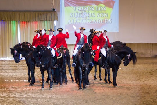 Somni Paarden Musical