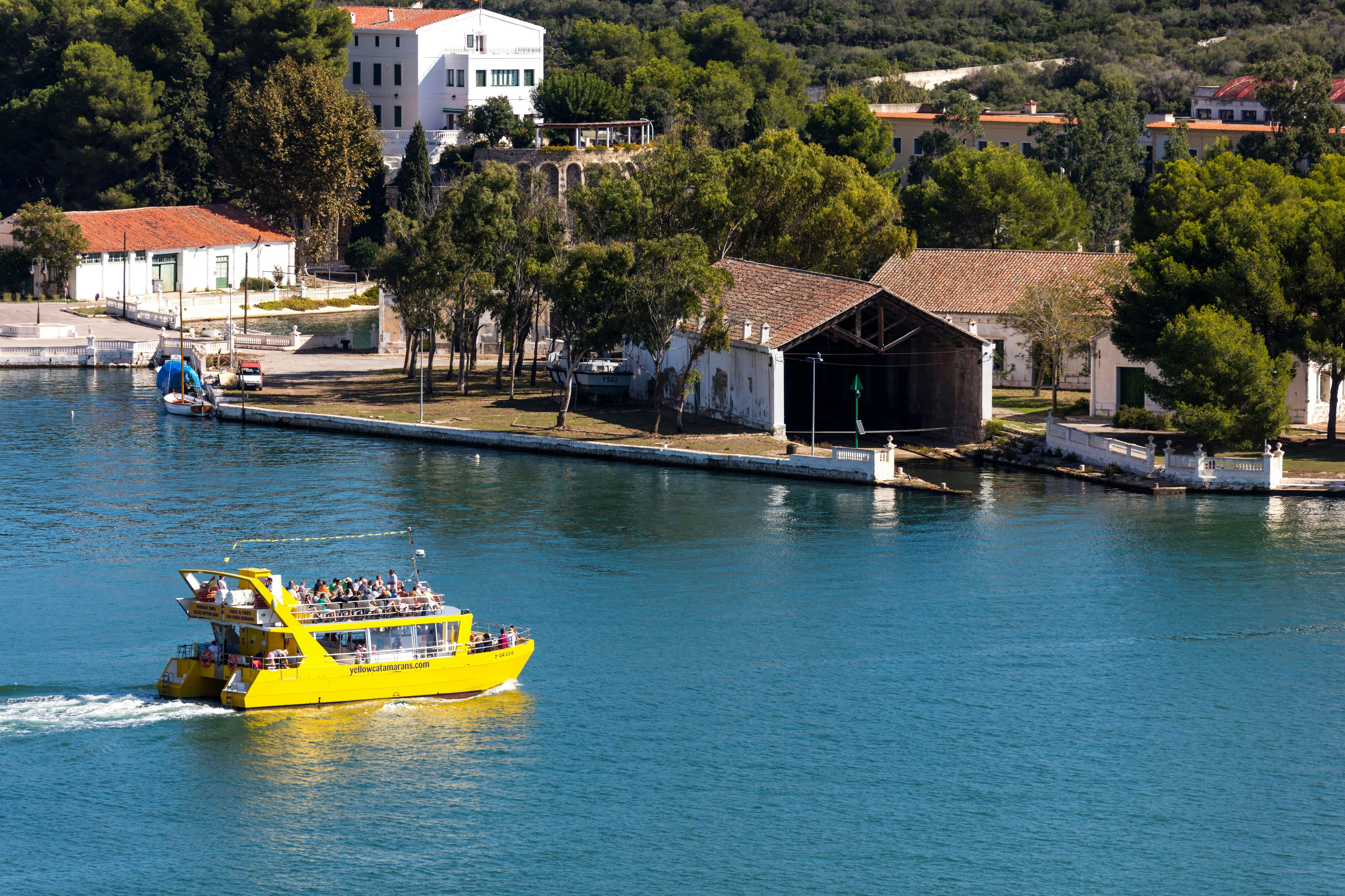 Yellow Catamarans