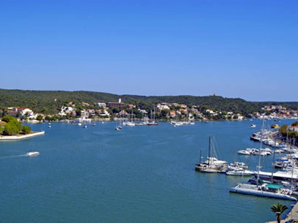 Yellow Catamarans