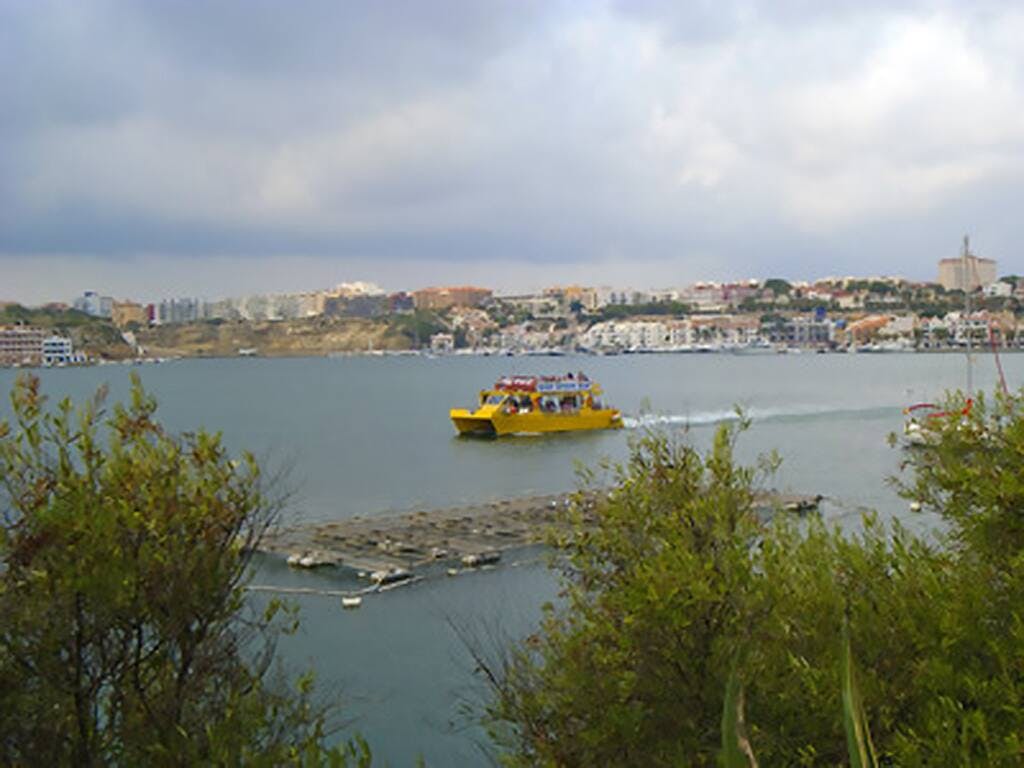 Yellow Catamarans