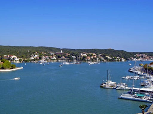 Yellow Catamarans