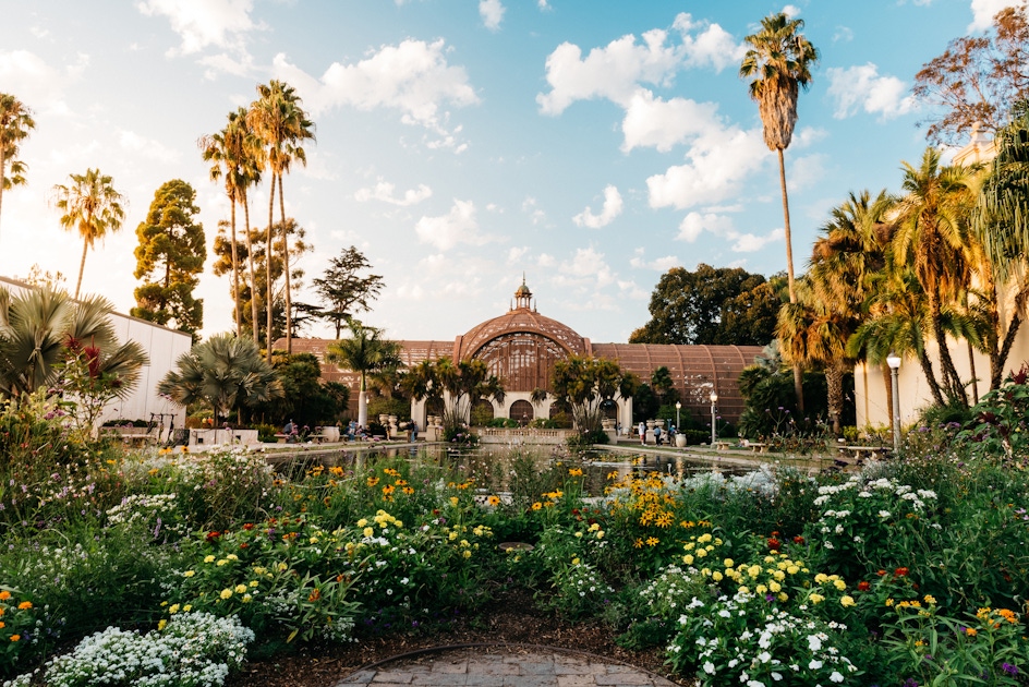 Balboa Park Tours Activities and Tickets  musement