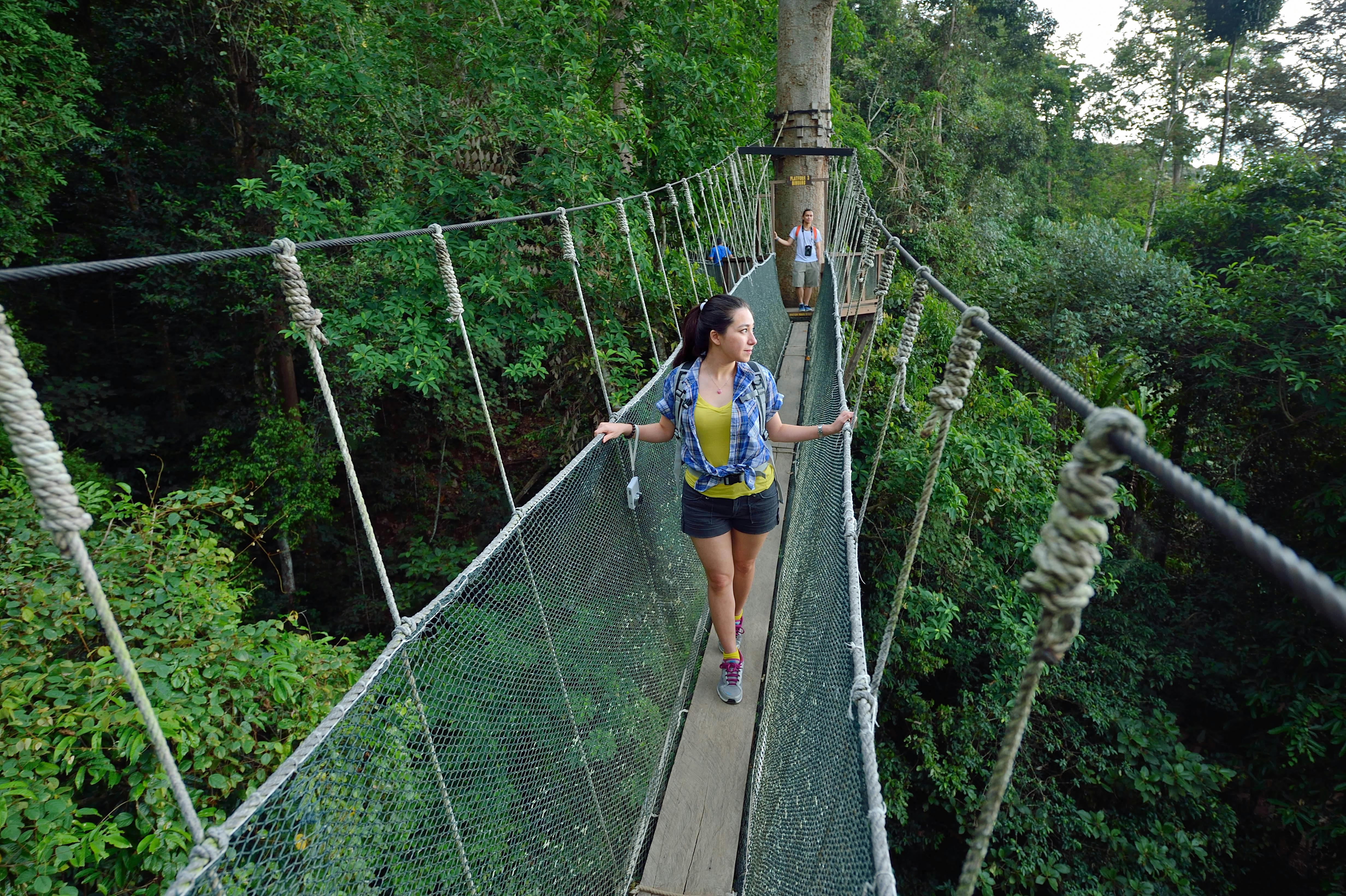 Excursão de dia inteiro no Parque Kinabalu e nas Termas de Poring