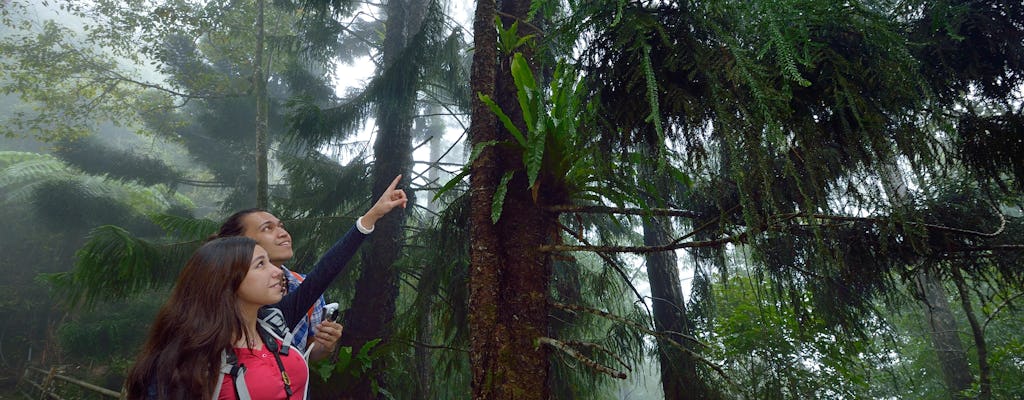 Excursão de dia inteiro ao Parque Kinabalu e às fontes termais de Poring