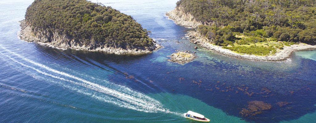 Croisière de 3 heures dans la nature sur l'île Bruny