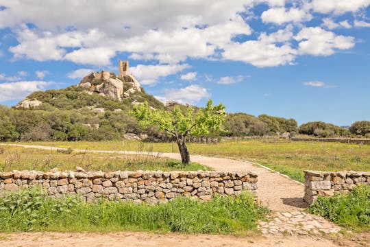 Archeologische tour door Olbia in Tuk-Tuk