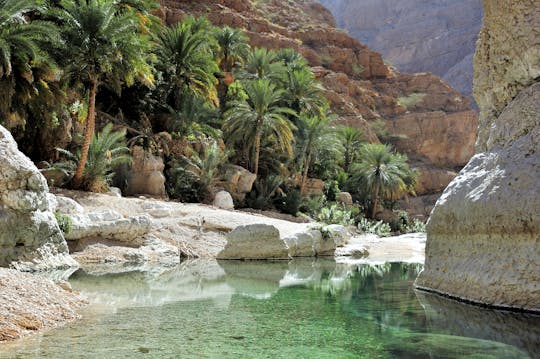 Descubra o Sul e Wadi Shab