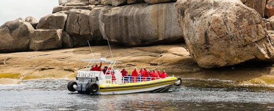 Cruzeiro Wilsons Promontory de 2,5 horas