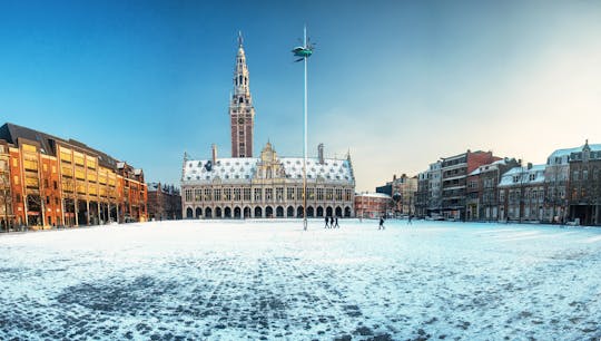Leuven day tour from Brussels