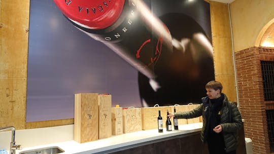 Priorat en Siurana-dagtour met wijnproeverij