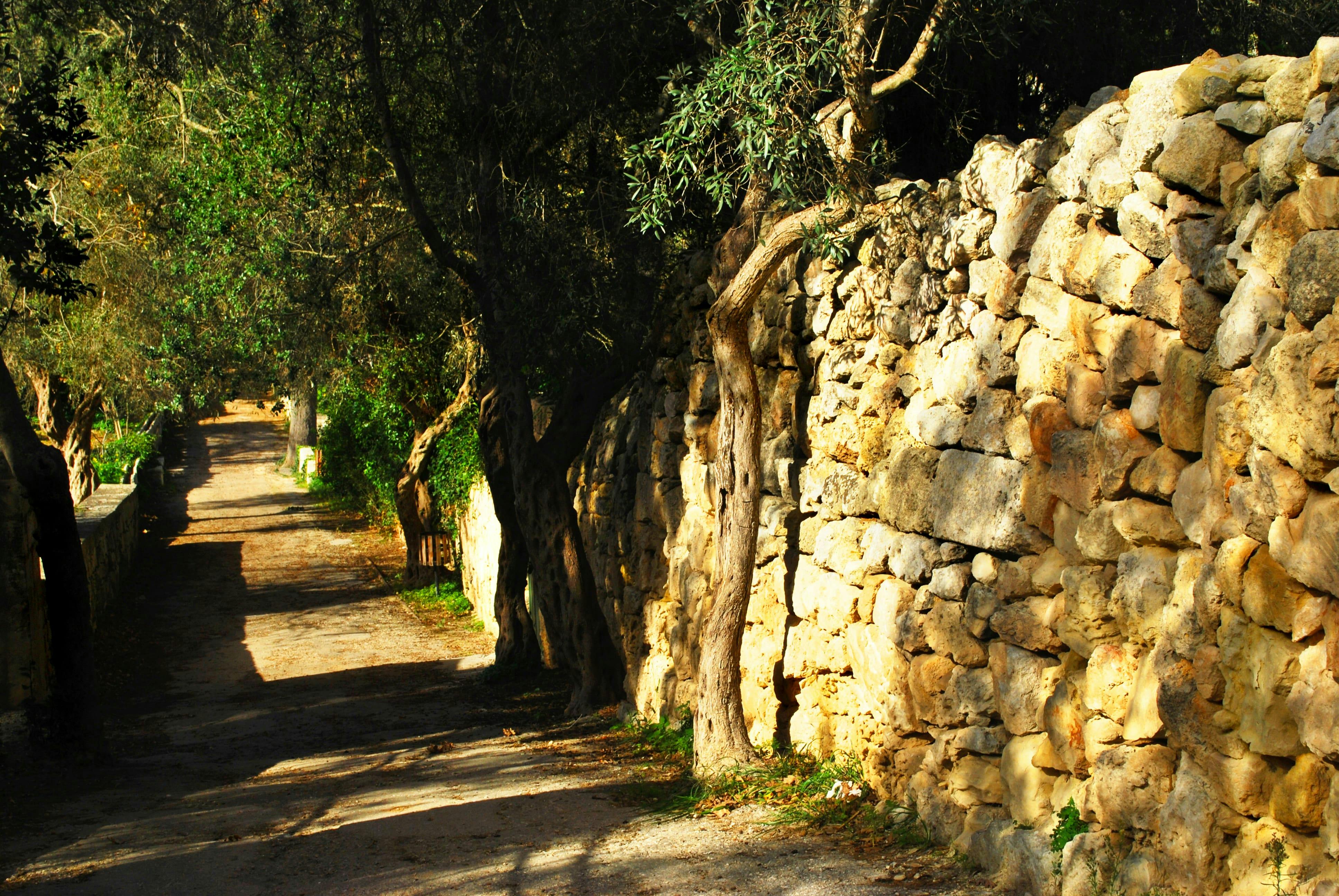 Malta's Scenic Tour