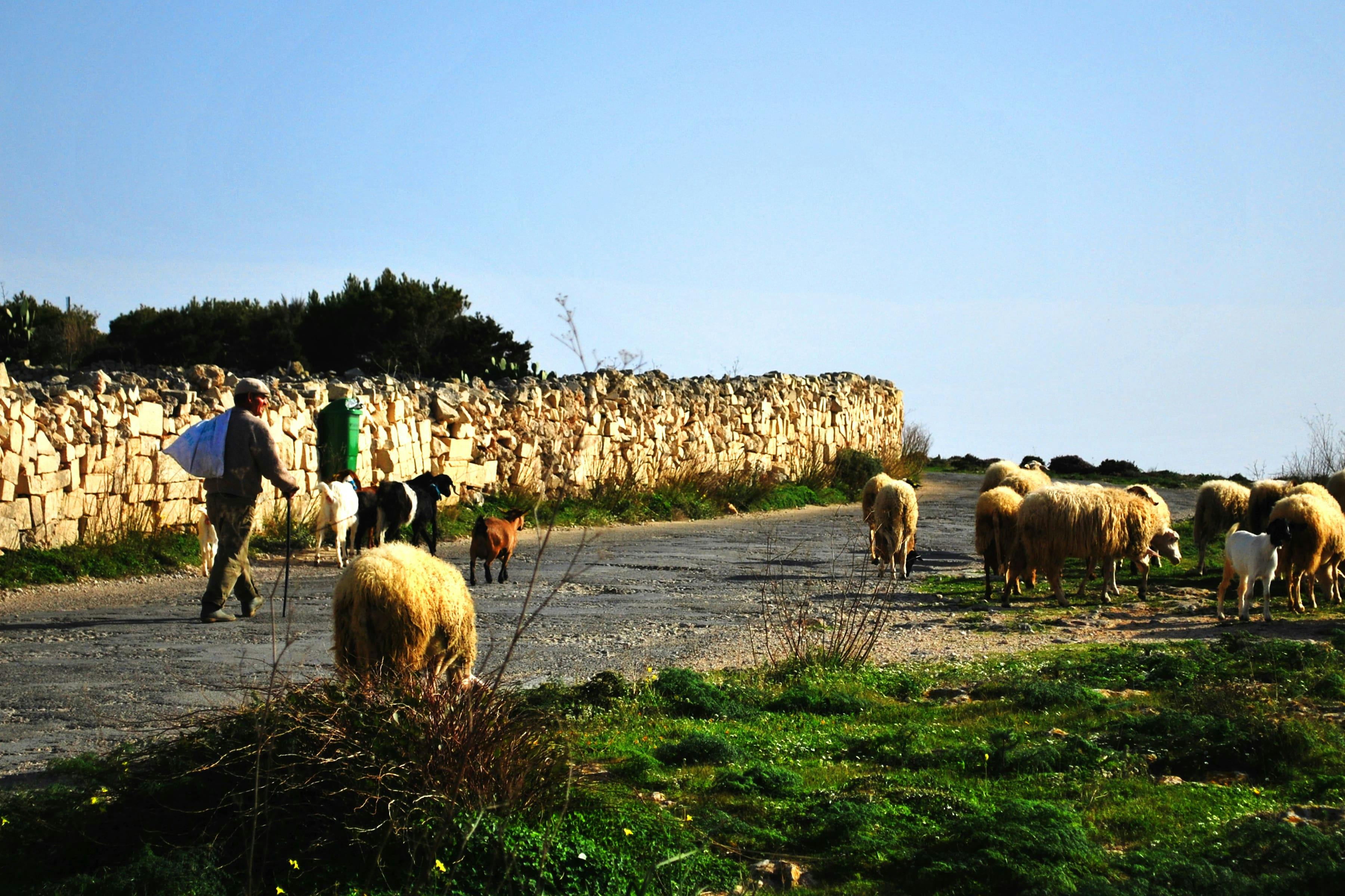 Malta's Scenic Tour