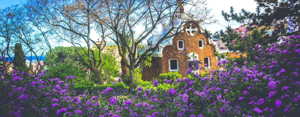 Capturez la célèbre architecture de Gaudi - Visite photographique