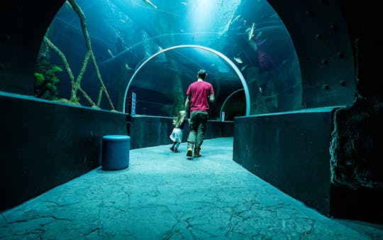 Billets d'entrée pour AQUATIS Aquarium-Vivarium