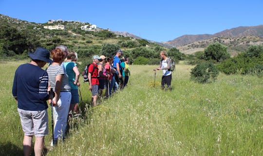 Passeio a pé pelo vale em Karpathos