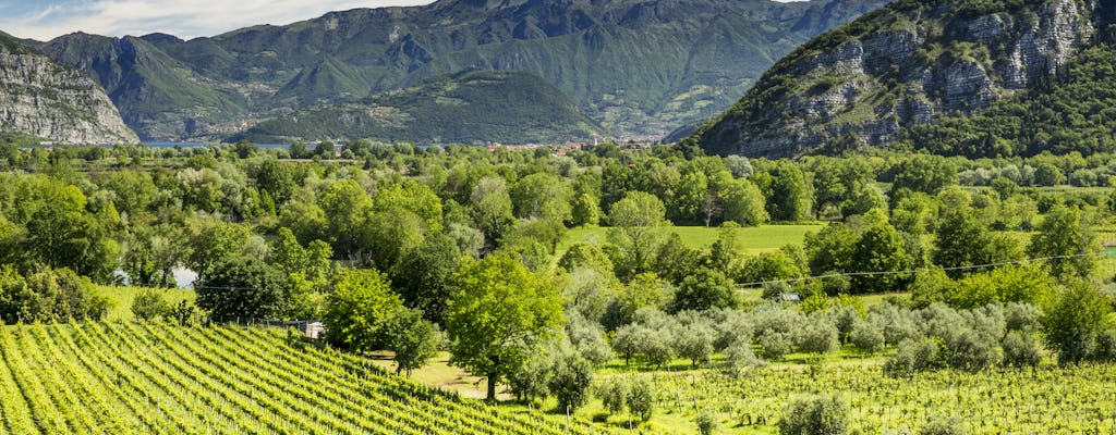 Tour privato della cantina della Franciacorta e del sito Unesco con pranzo in minivan da Milano