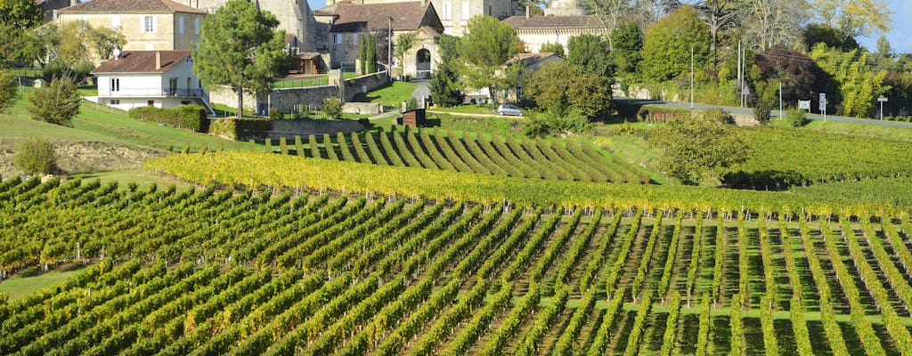 Excursion privée d'une demi-journée dans les vignobles de Saint-Émilion au départ de Bordeaux