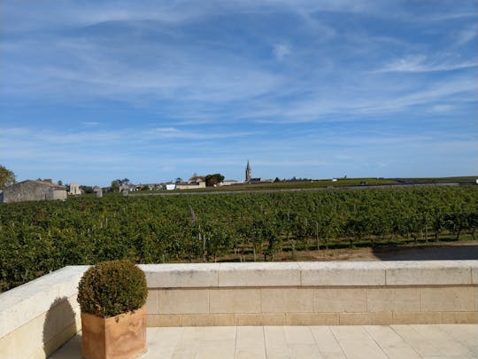Tour privato di un'intera giornata a Saint Emilion e vino Médoc da Bordeaux
