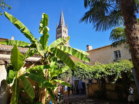 Całodniowa prywatna wycieczka Saint Emilion z Bordeaux