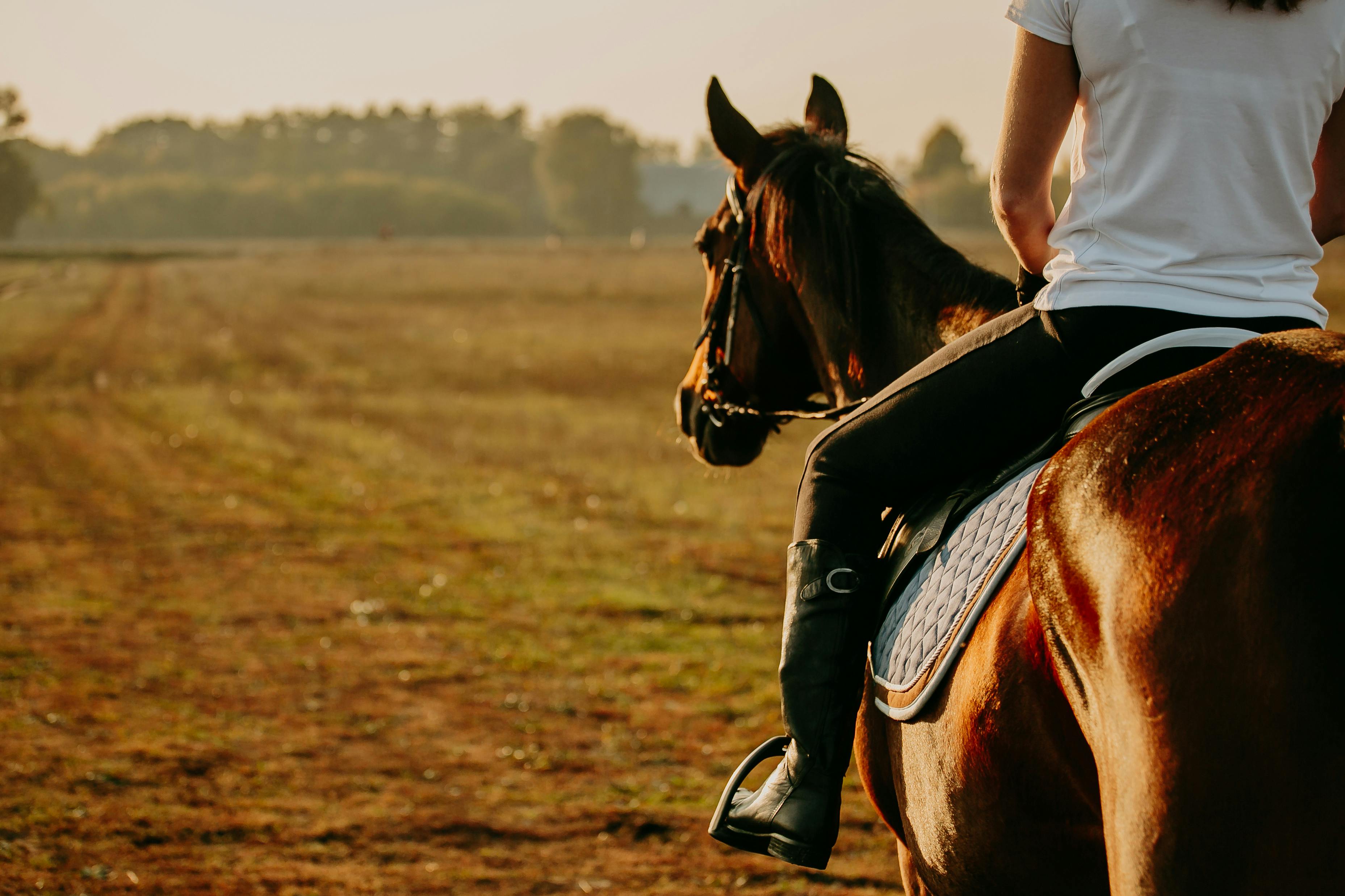 Privétour paardrijden in het natuurreservaat van Comporta