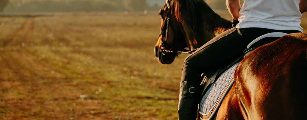 Horse riding private tour in Comporta natural reserve