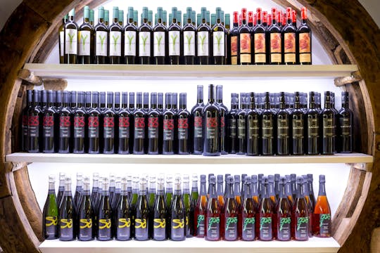 Bodega Ramanya Weinverkostung-Tour
