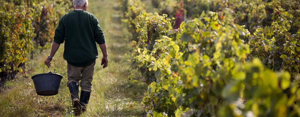 Visite privée d'une demi-journée du Sud Beaujolais avec dégustation