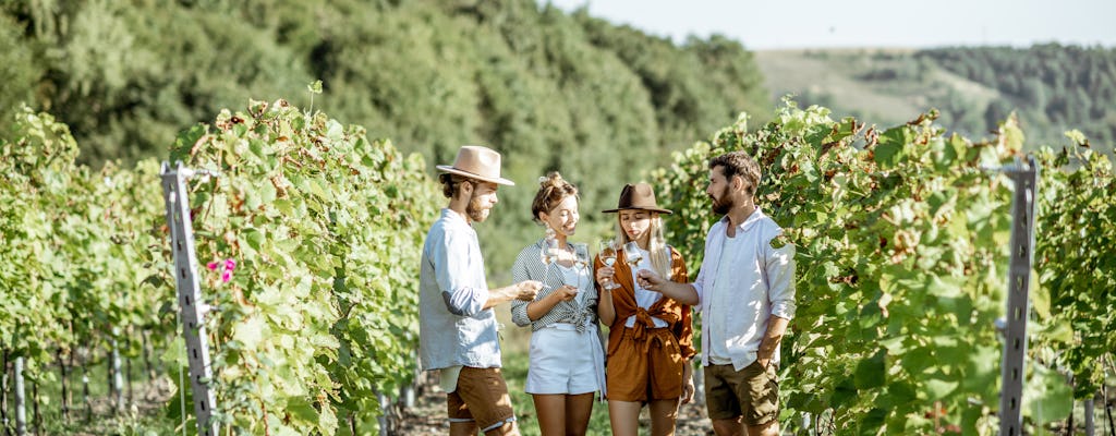 Tour privado de queijo e vinho em Beaujolais