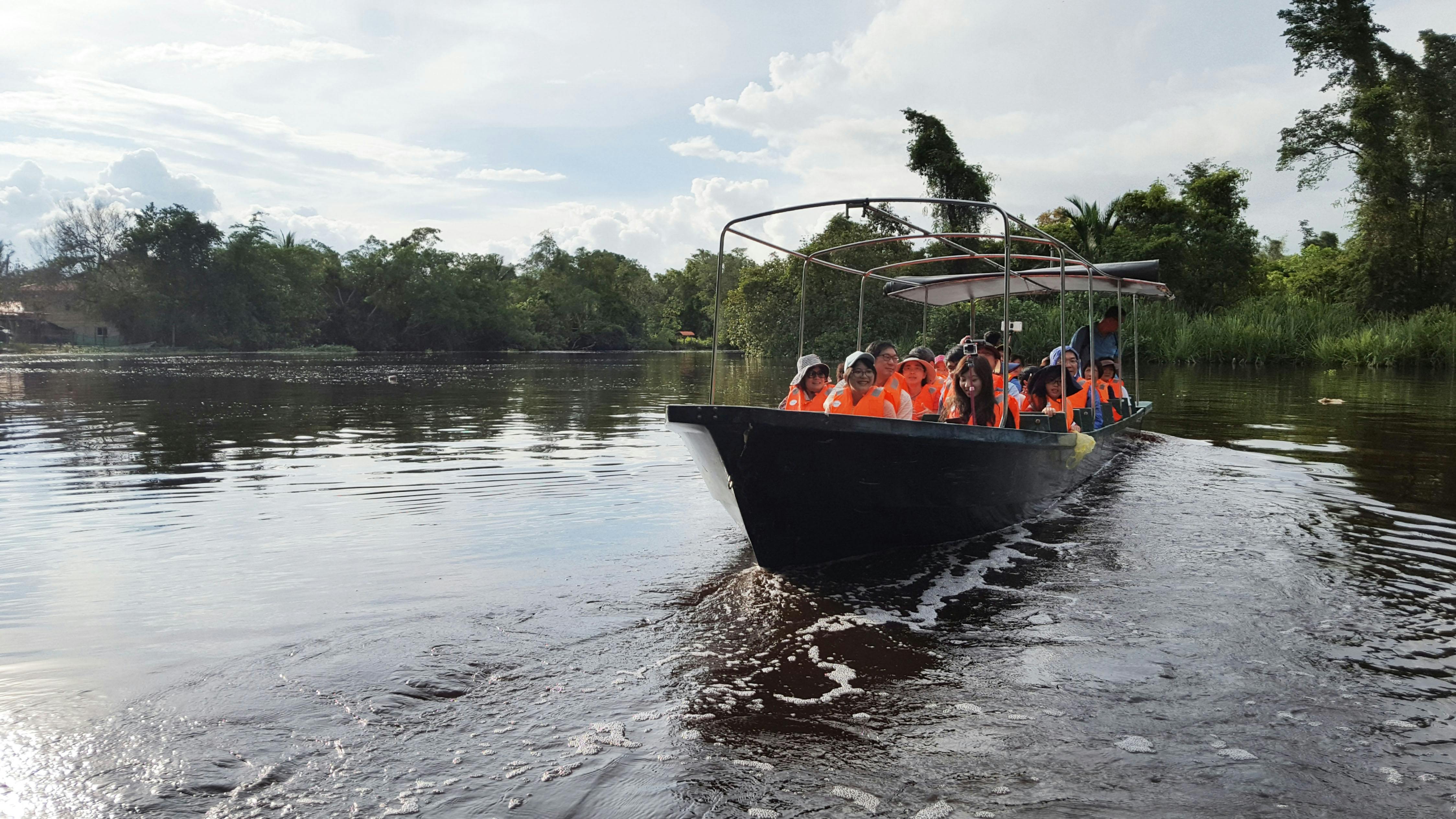 Klias-mangrove-wildlife- en vuurvliegjes-tour