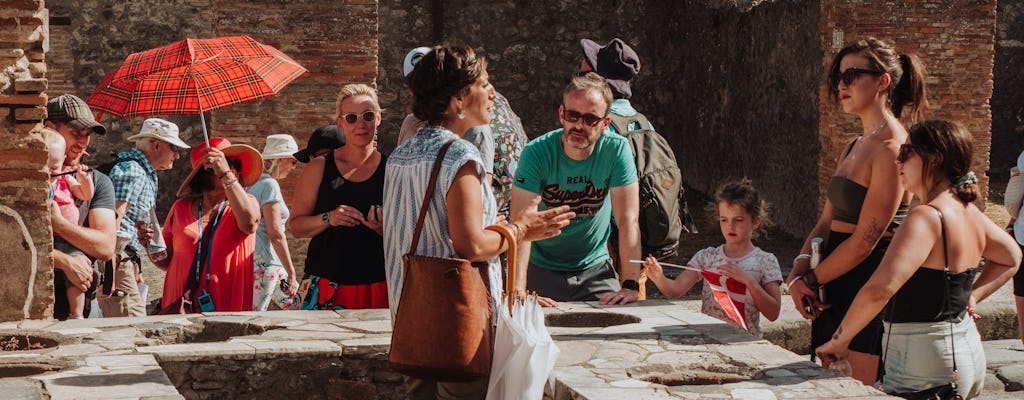 Tour di Pompei ed Ercolano da Roma per piccoli gruppi