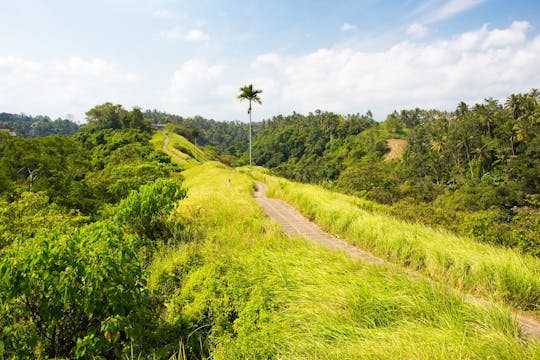 Tour interno de um dia em Ubud
