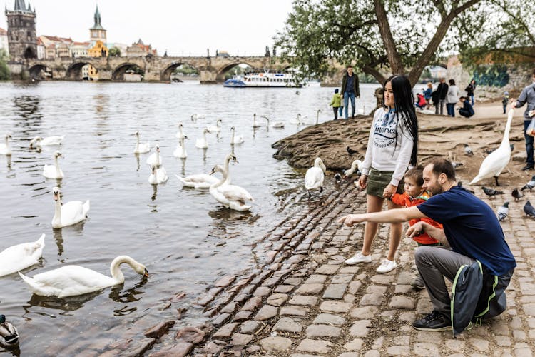Enjoy a personalized half-day tour in Prague with a local