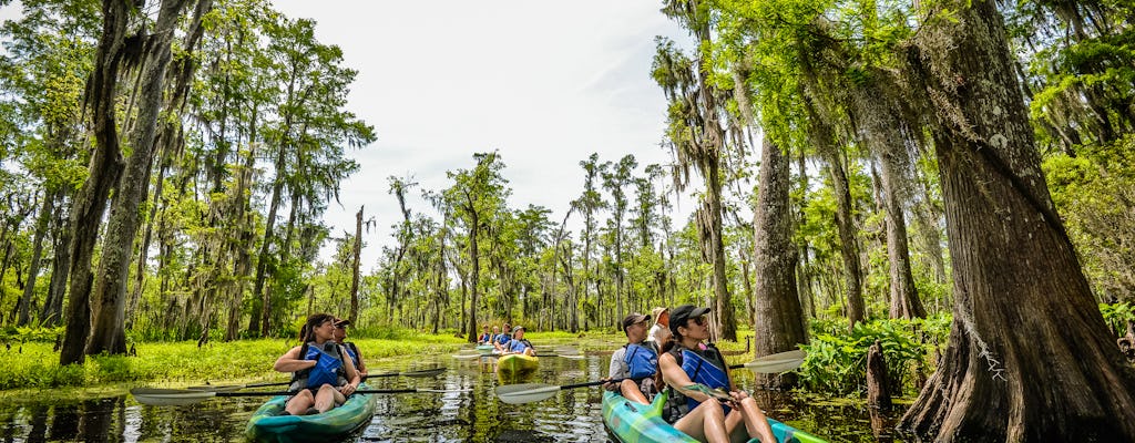 Half-day kayak tour in Manchac Swamp