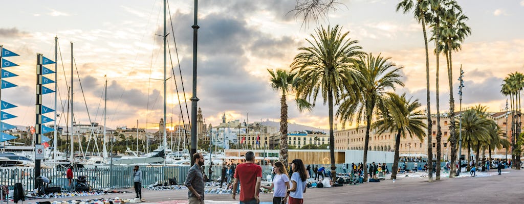 Profitez d'une visite personnalisée d'une demi-journée à Barcelone avec un local