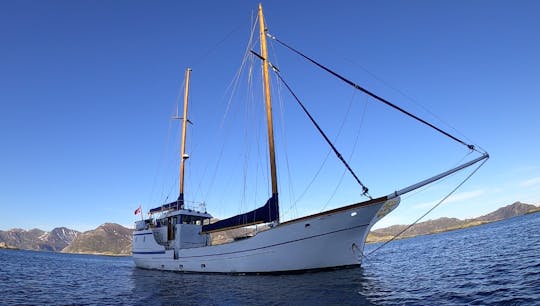 Snelle en gezellige zeiltocht op de Lofoten